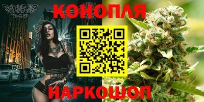 Альфа ПВП Севастополь